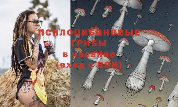 прущая мука Инта