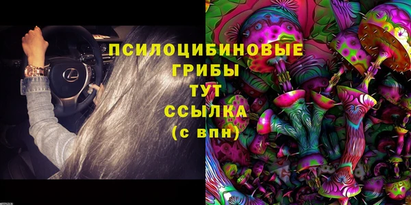 прущая мука Инта