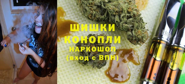 мяу мяу мука Иннополис