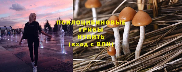 мяу мяу кристалл Инсар