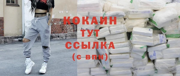 прущая мука Инта